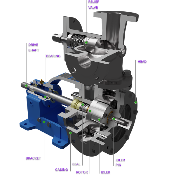 Exploded cutaway of G-Series internal gear pump